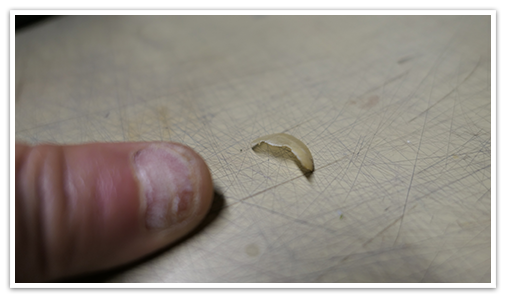 ついにっ ついにっ